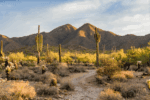 Top 13 Scottsdale Attractions: Must-See Places & Activities