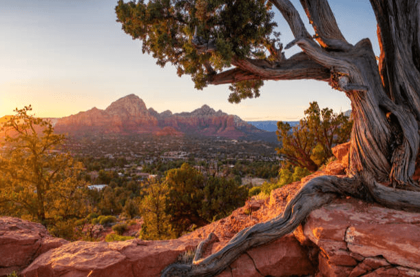 6 Best Views in Scottsdale for Stunning Desert Landscapes