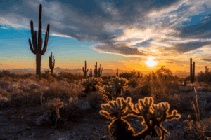 Planning my Christmas Vacation in Scottsdale