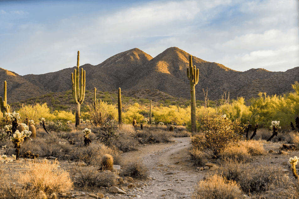 The 23 Best Things To Do in Scottsdale for Adults