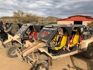 Desert Wolf Tours