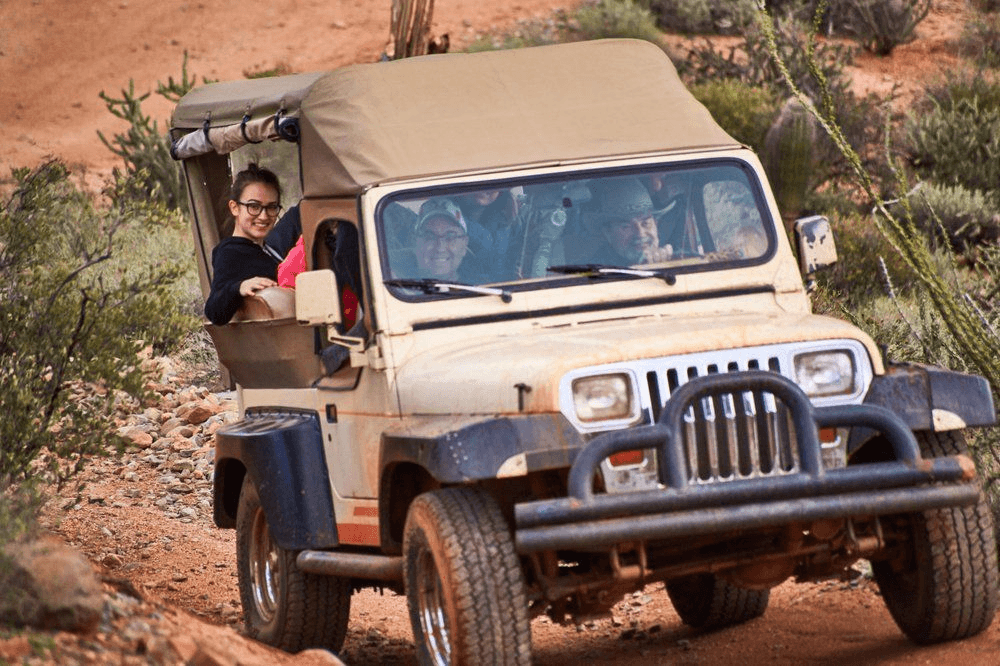 Wayward Wind Desert Tours