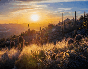 McDowell Sonoran Preserve