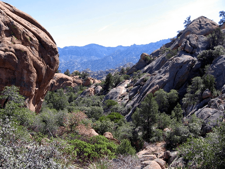 Santa Teresa Wilderness
