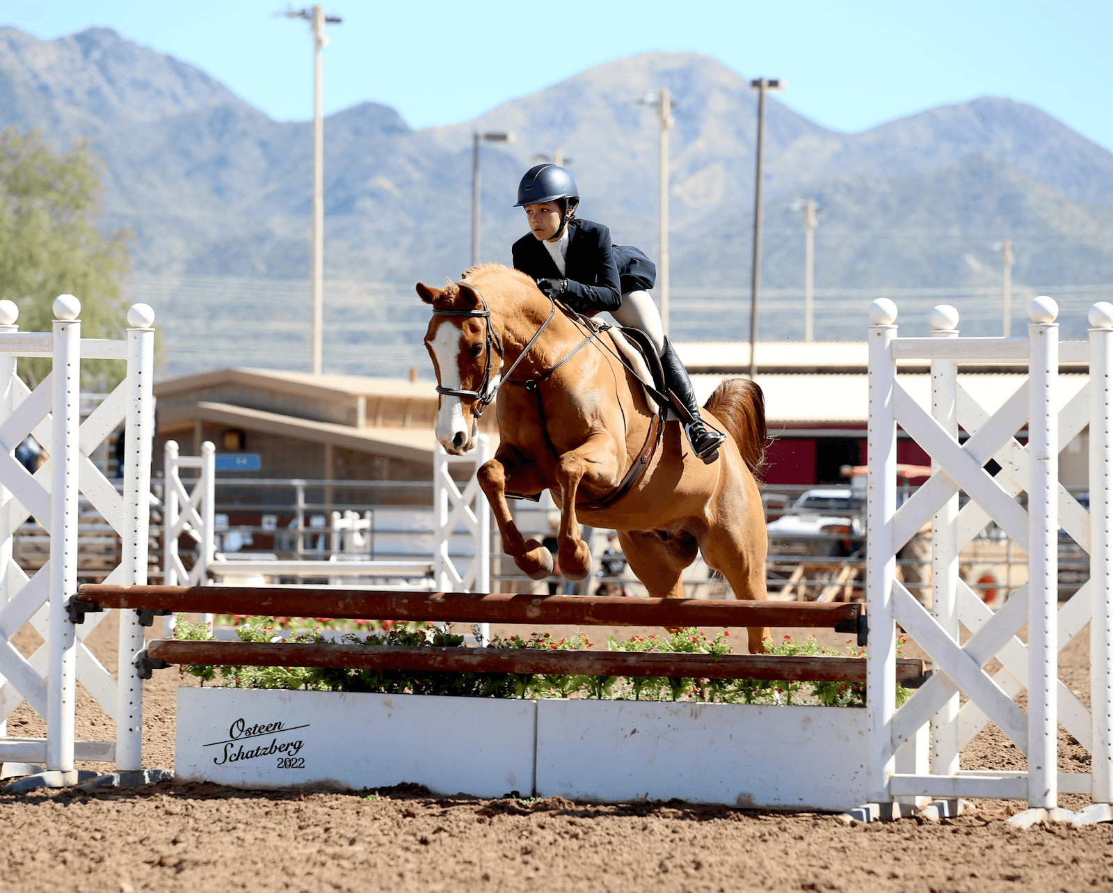 An image of the Scottsdale Arabian Horse Show. 
