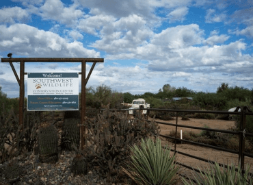 Southwest Wildlife Conservation Center provides life-saving rescues.