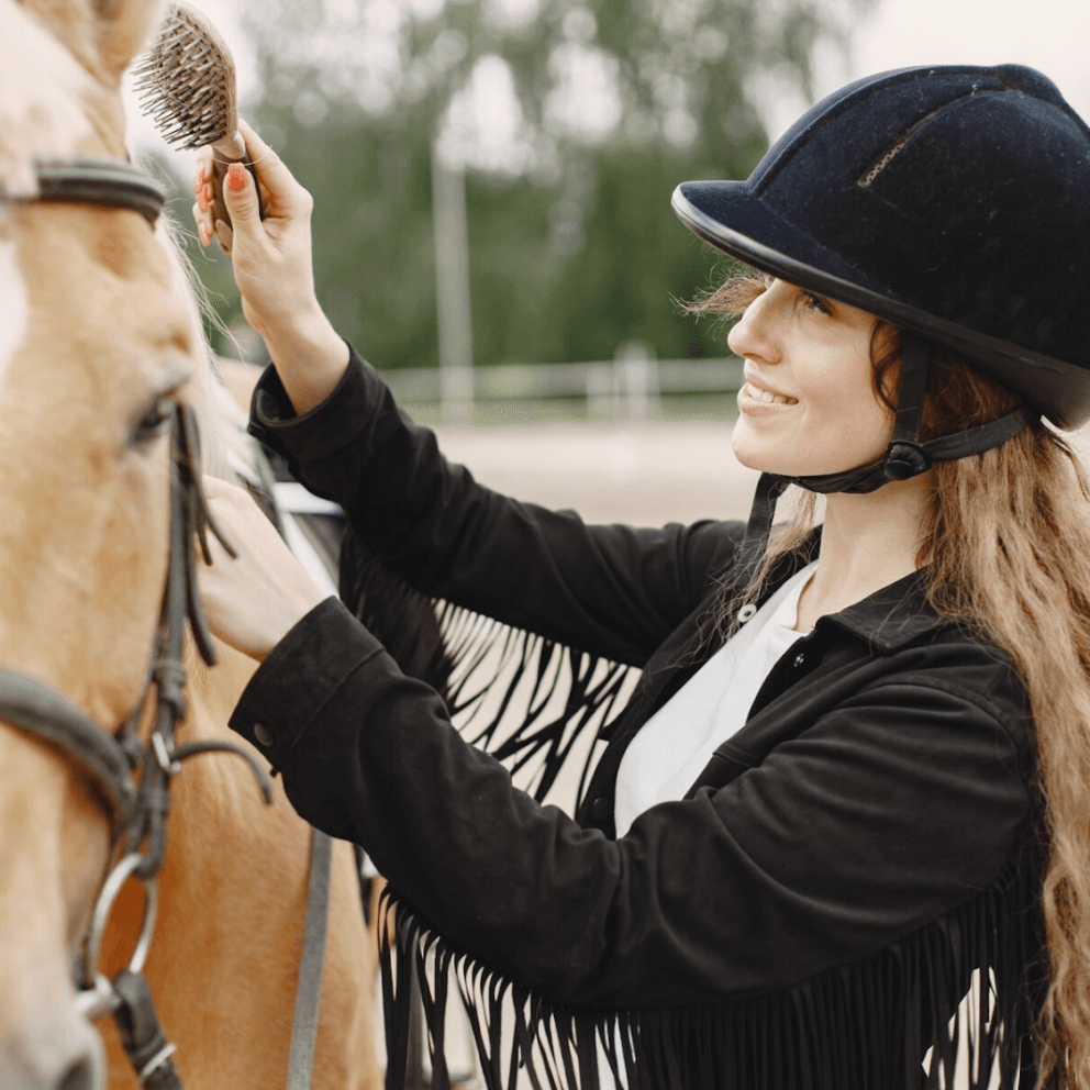 A Travel Guide for the Scottsdale Arabian Horse Show