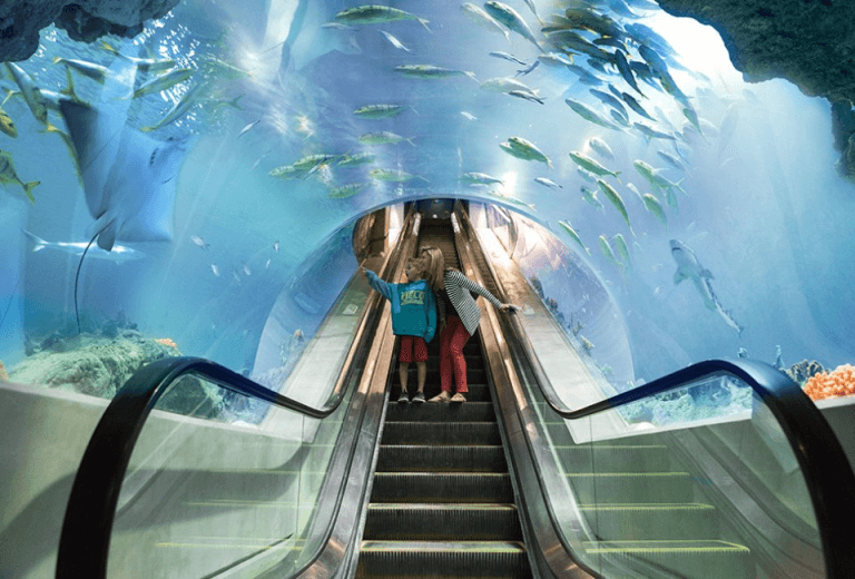 OdySea Aquarium