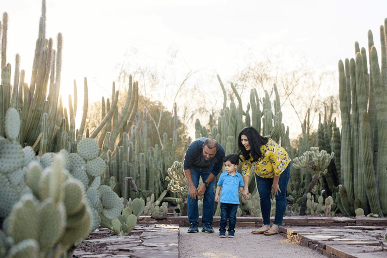 Desert Botanical Garden