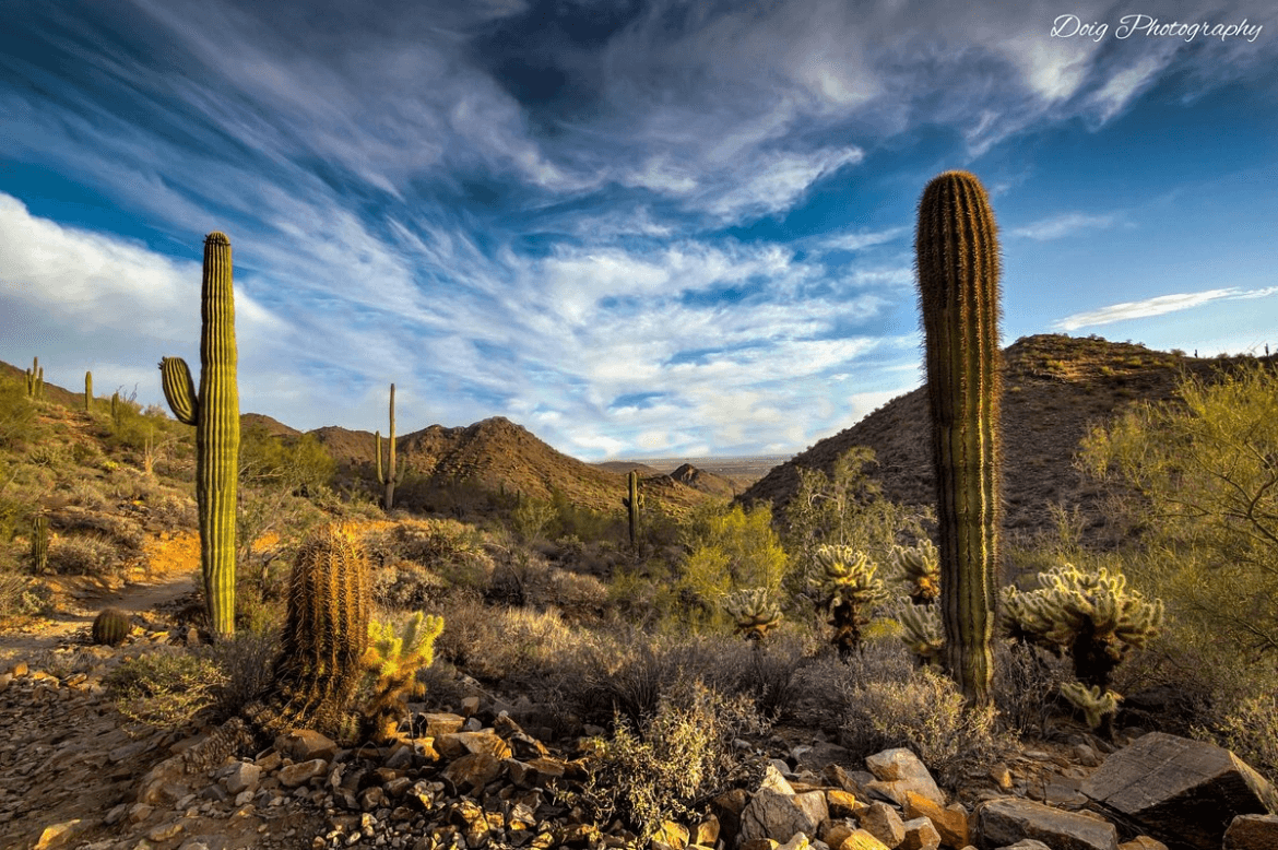 McDowell Sonoran Preserve
