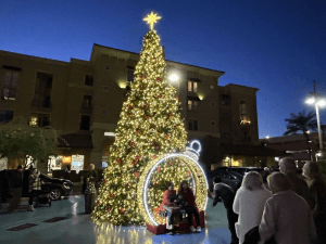 Holiday Light Displays