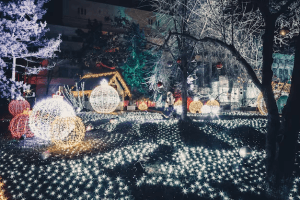 Holiday lights in Scottsdale.