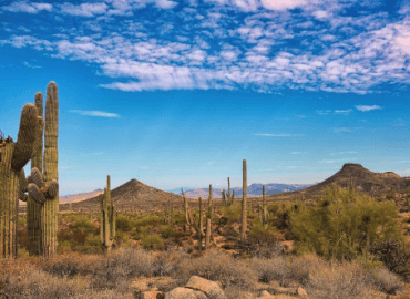 The McDowell Sonoran Preserve in Scottsdale.