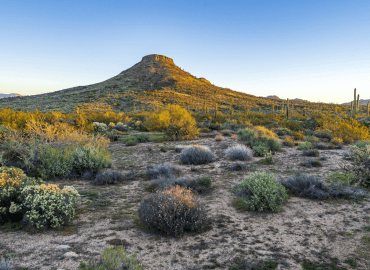 Explore Scottsdale Culture: Insights and Highlights