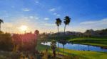 Desert Canyon Golf Club