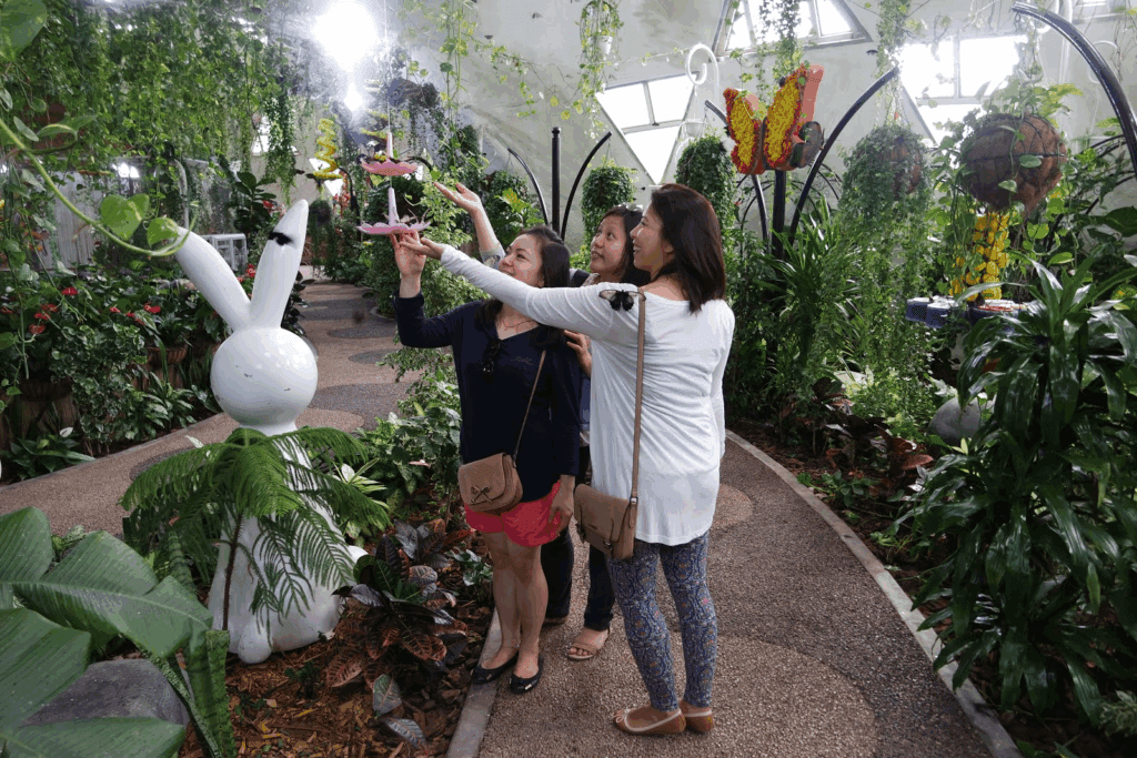 Butterfly Wonderland