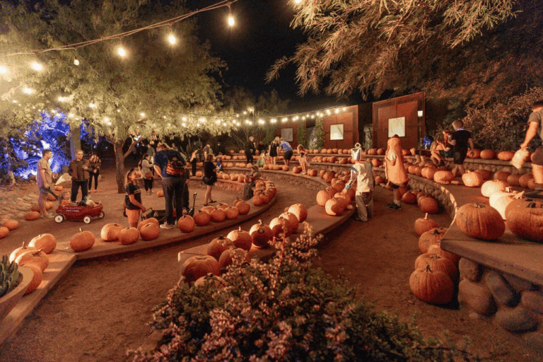 Experience the Desert Botanical Garden's "Strange Garden"