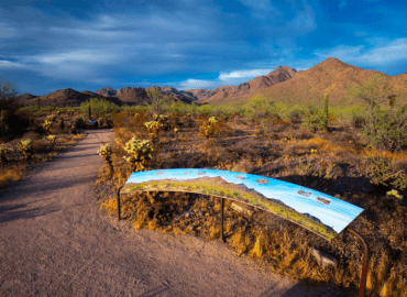 McDowell Sonoran Preserve: Views, Hiking & Nature