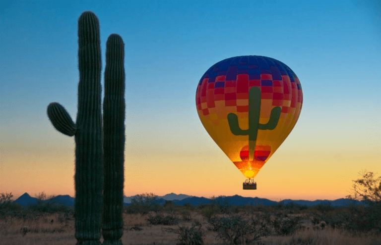 A colorful hot air balloon behind a cactus.