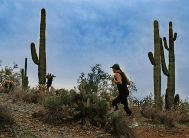 A woman hikes through the Sonoran Desert surrounded by cacti.