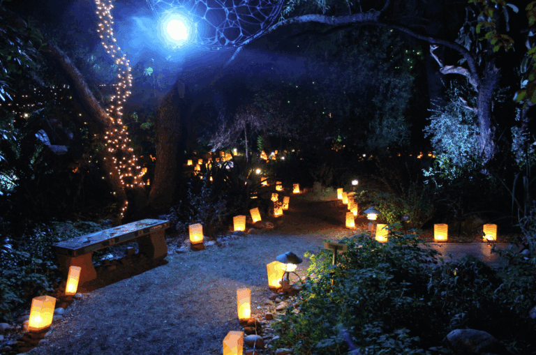 Las Noches de las Luminarias at the Desert Botanical Garden