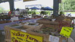 GCS Farmers Market