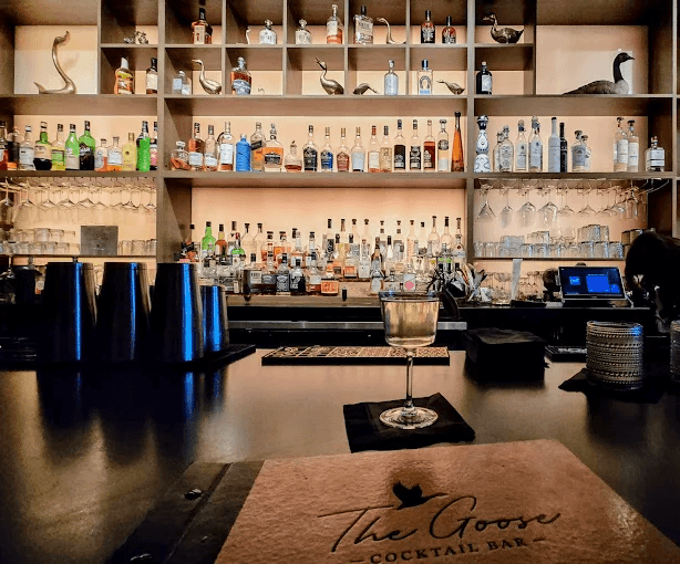 The Goose