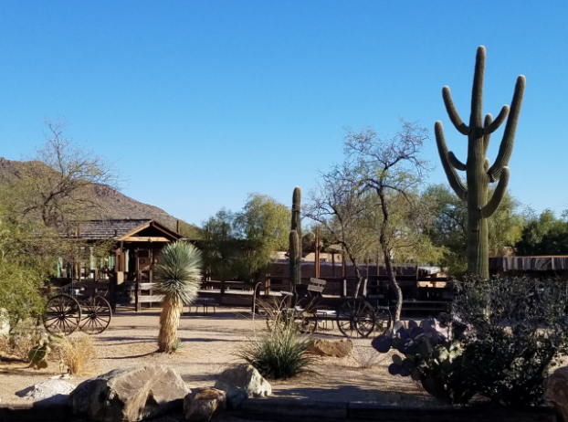 Wandering Heart Adventures