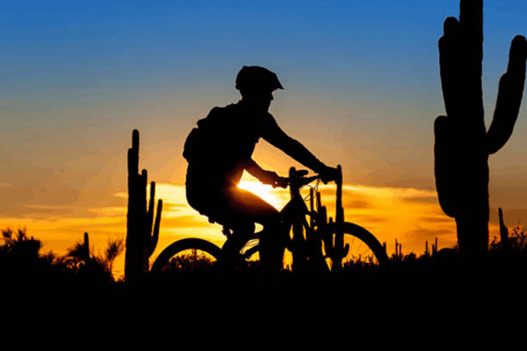 Silhouette of a cyclist riding through a desert landscape with tall cacti at sunset.
