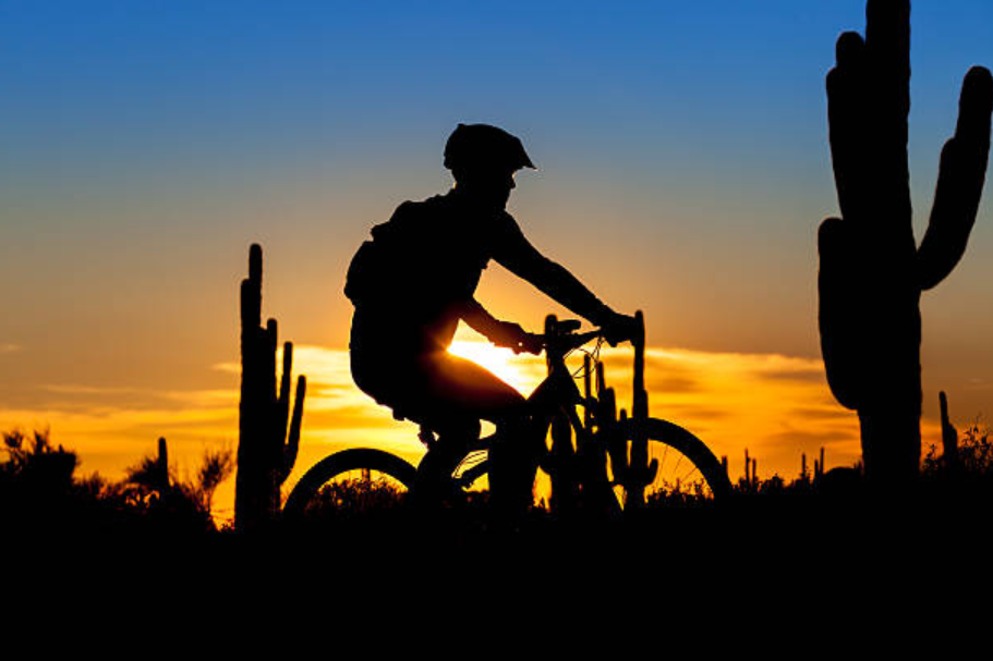 Silhouette of a cyclist riding through a desert landscape with tall cacti at sunset.