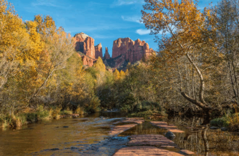 An image of fall in the Arizona desert.