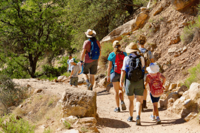 An image of a family with young kids hiking along a trail.