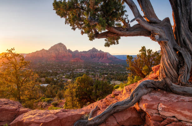 Scenic red rock landscape at sunset with desert trees, capturing the best views in Scottsdale.