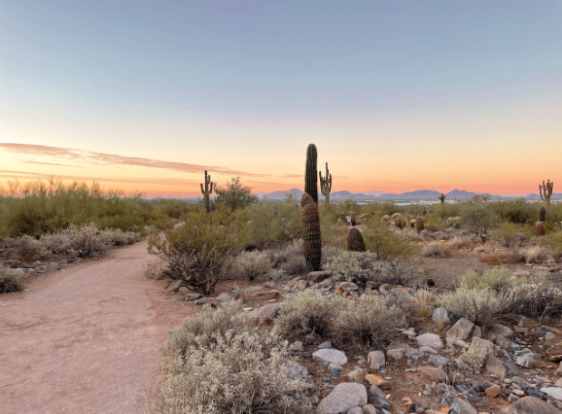 Desert Hiking with Holiday Views