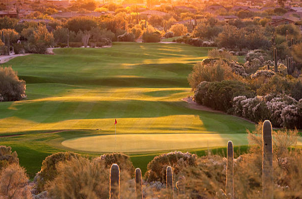 Golf course at sunset with desert plants and cacti in the foreground.