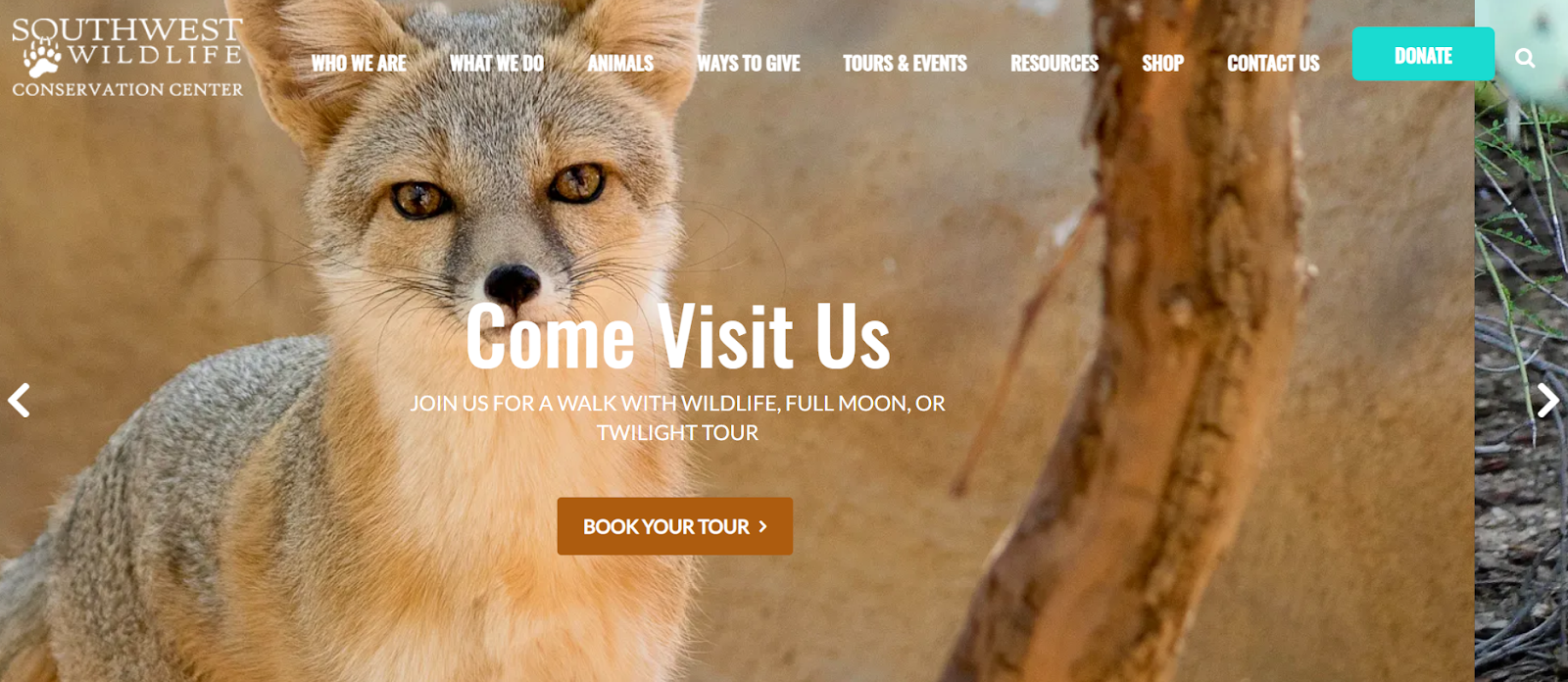 Southwest Wildlife Conservation Center