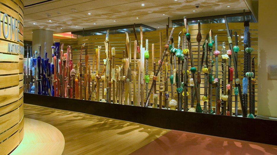 Learn at the Heard Museum