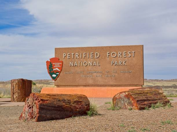 An image of the Petrified Forest National Park entrance sign on the Scottsdale to Grand Canyon route.