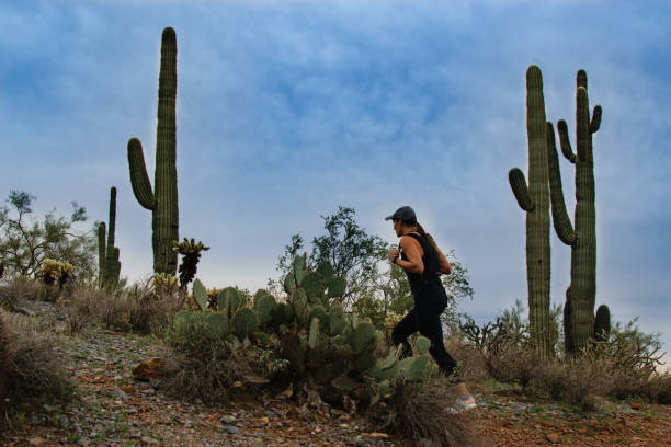 A woman hikes through the Sonoran Desert surrounded by cacti.