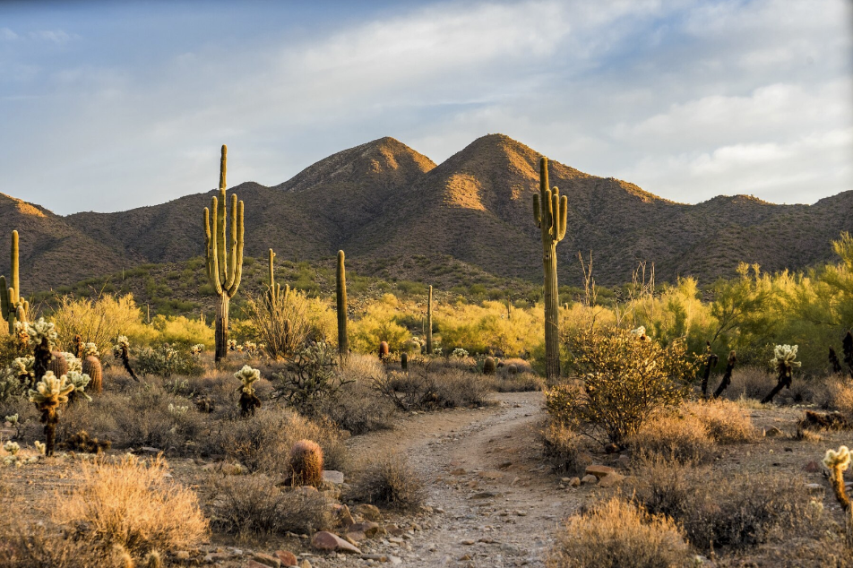 Outdoor things to do in Scottsdale, Arizona