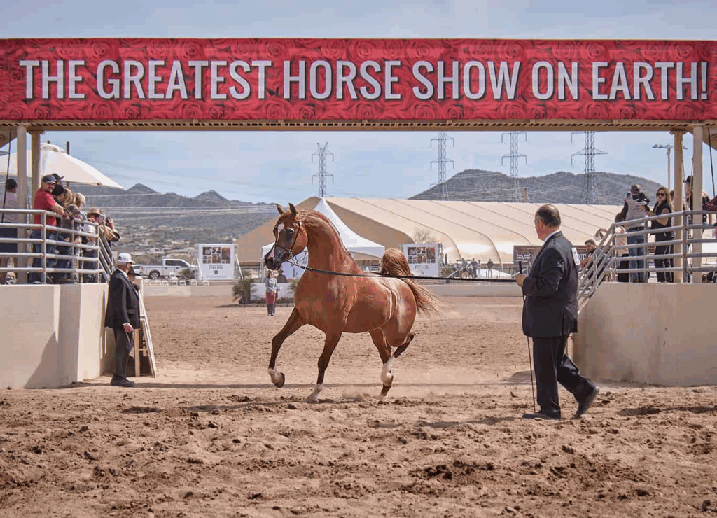 Scottsdale Arabian Horse Show