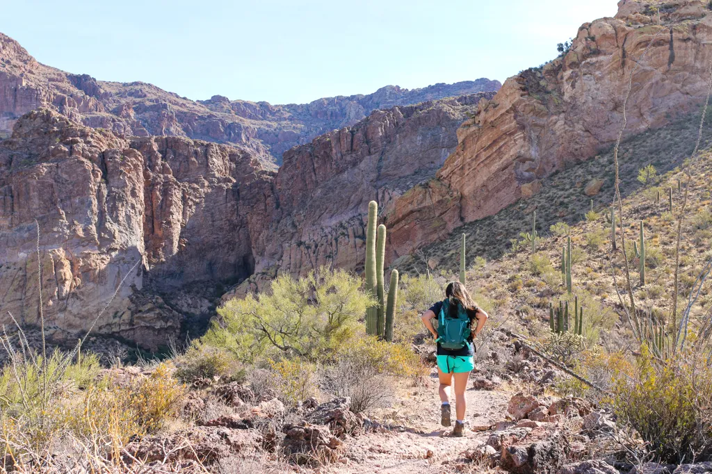 Trek the Sonoran Desert
