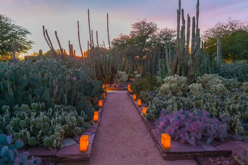 Plants & People of the Sonoran Desert Celebration