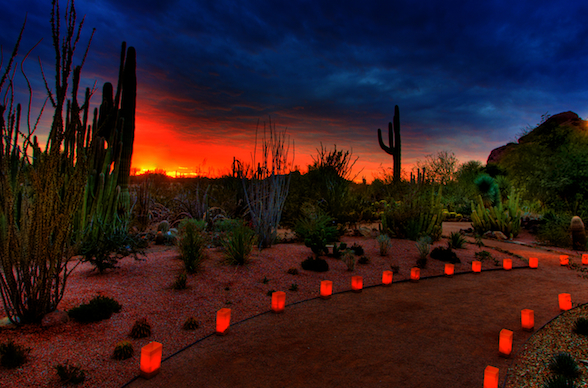 Las Noches de las Luminarias (Desert Botanical Garden)