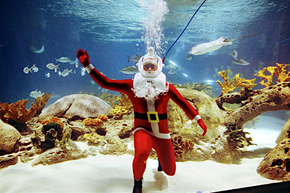 Winter Waterland (OdySea Aquarium) 