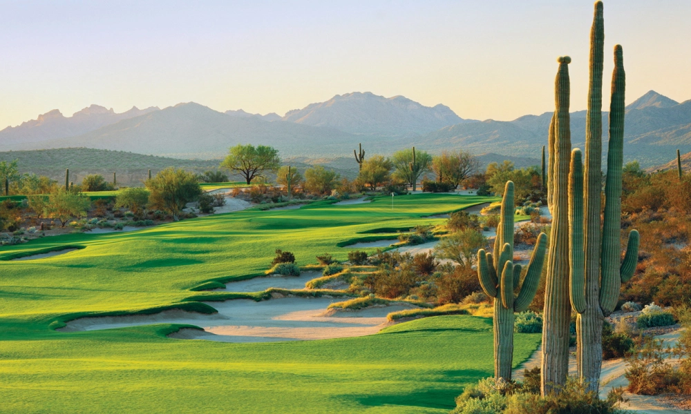 An image of a desert golf course.