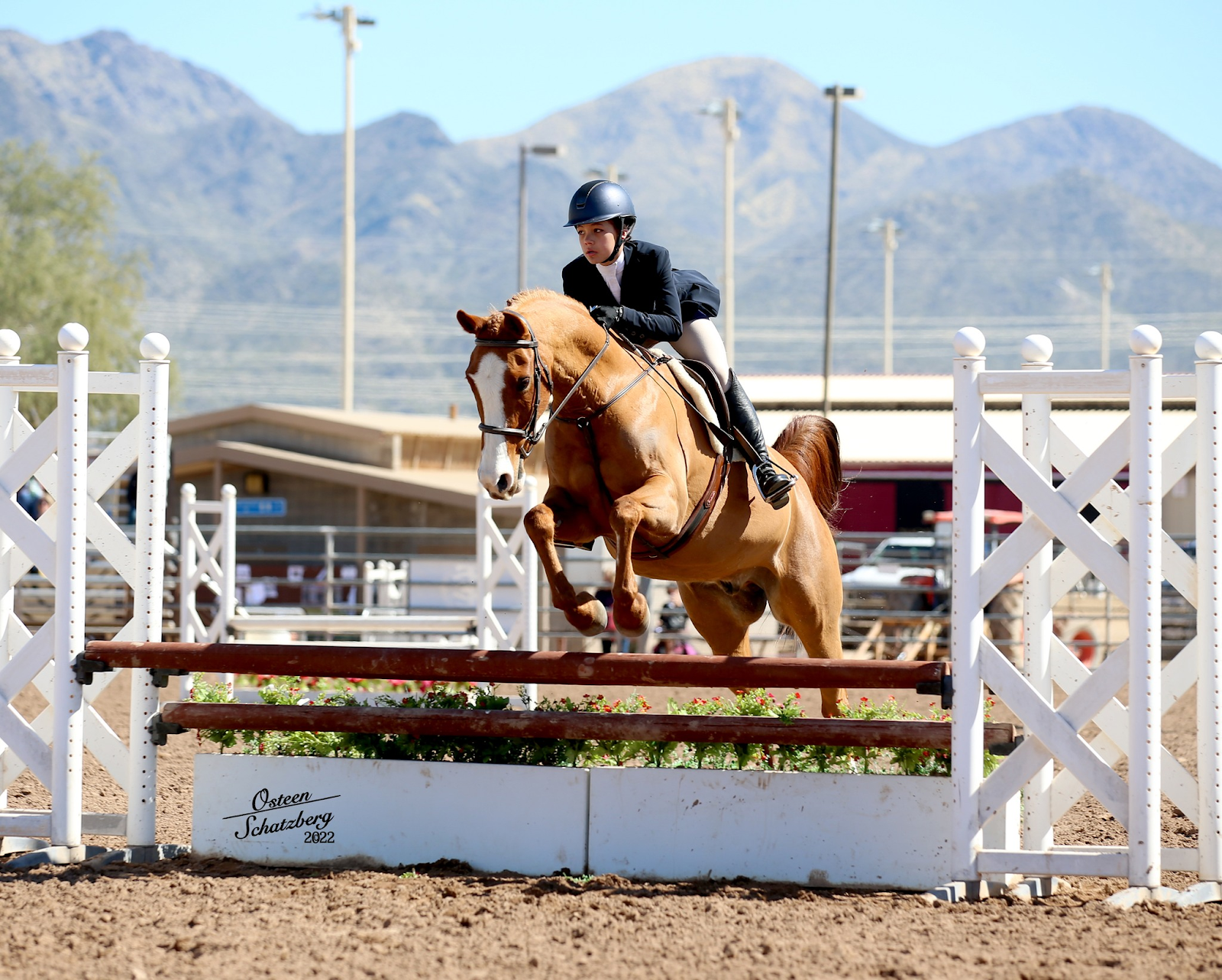 An image of the Scottsdale Arabian Horse Show.