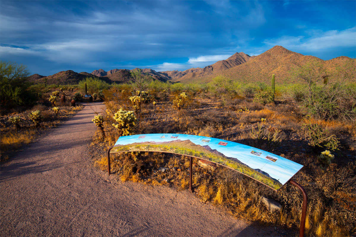 McDowell Sonoran Preserve is a top place to visit in Scottsdale.