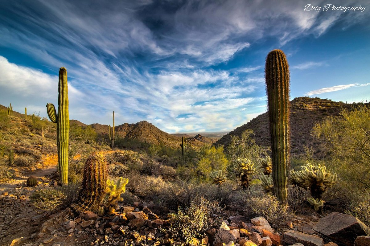 McDowell Sonoran Preserve