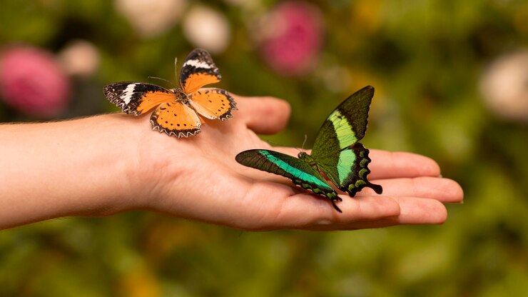 An image of a hand with two butterflies resting on it.